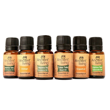 https://cdn.shopify.com/s/files/1/1857/6931/files/wEHHGkAdNU-906105.jpg?v=1736147405